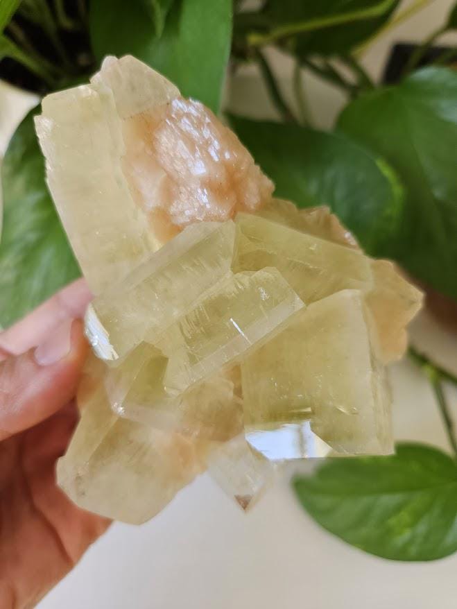 Quality Green Apophyllite and Peach Stilbite Cluster: Natural Crystal Specimens, India - Image 3