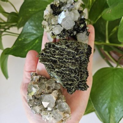 3 Small Forest Quartz Crystals: Turkish Epidote Clusters