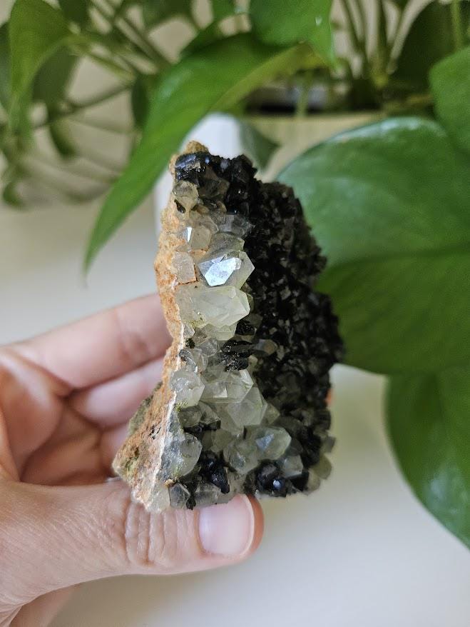 Extra Quality Forest Quartz Crystal: Epidote and Clear Quartz Cluster - Turkey - Image 5