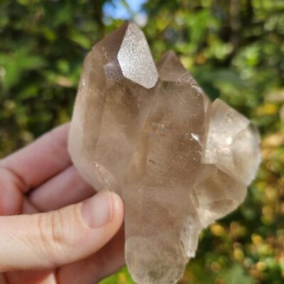 Natural Smoky Quartz Cluster: Bahia, Brazil Crystal - Grounding Crystals