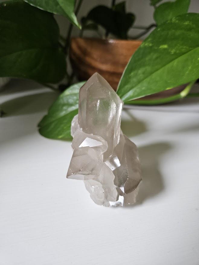 Phantom, Natural Smoky Quartz Cluster: Bahia, Brazil Crystal - Image 10