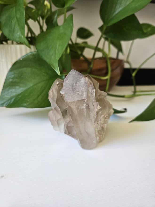 Natural Smoky Quartz Cluster: Bahia, Brazil Crystal - Image 10