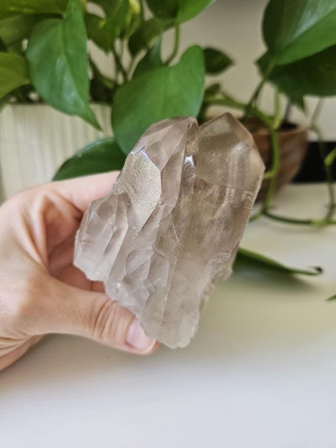 Natural Smoky Quartz Cluster: Bahia, Brazil Crystal