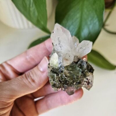 5 Quality Forest Quartz Crystals: Small Turkish Epidote Clusters