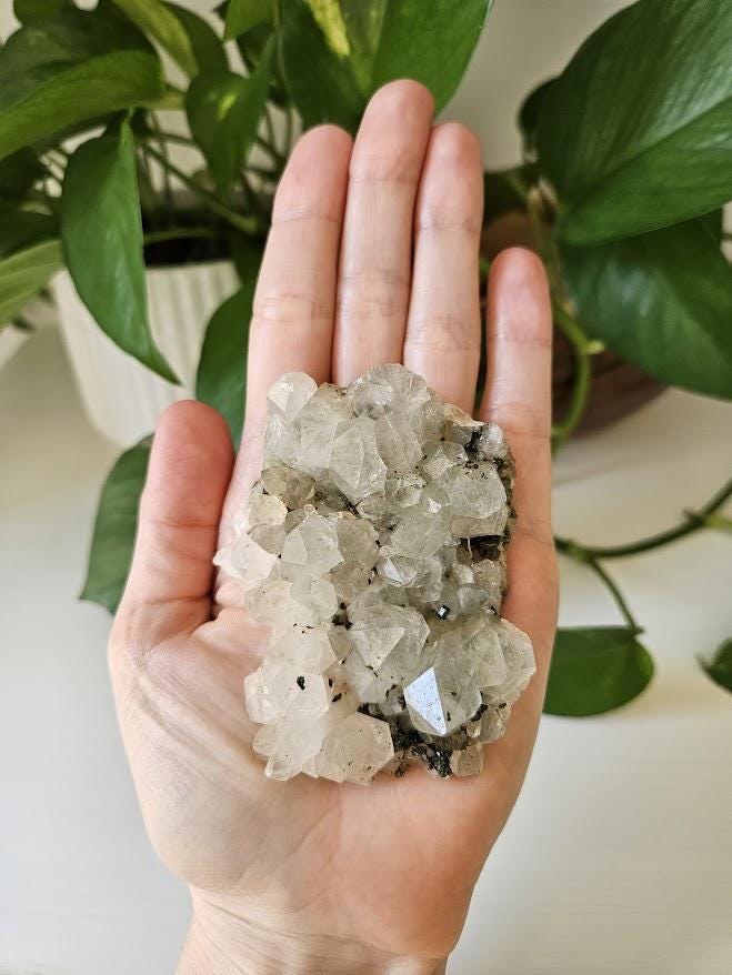 Raw Forest Quartz Cluster: Turkish Epidote and Quartz Crystal - Image 9