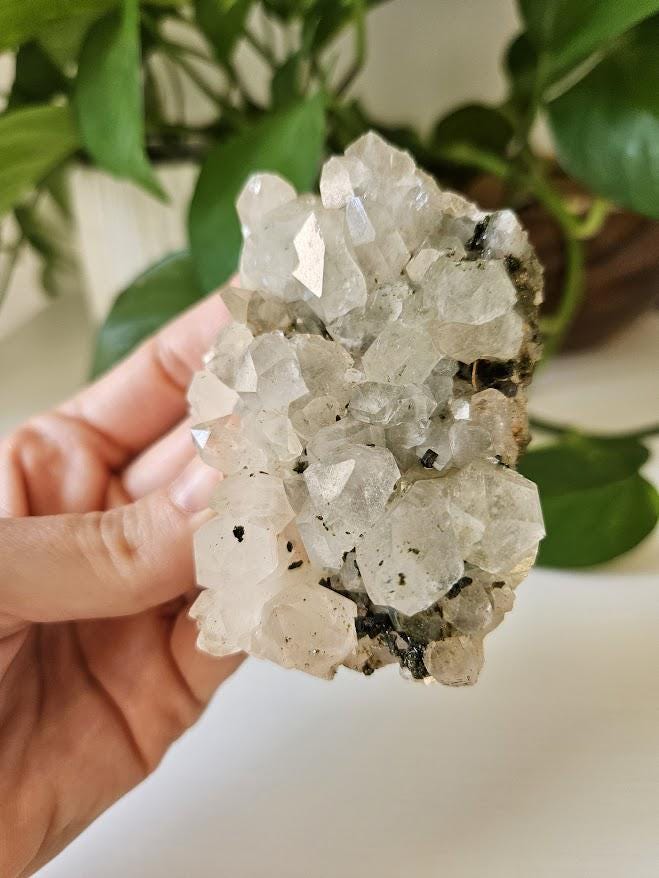 Raw Forest Quartz Cluster: Turkish Epidote and Quartz Crystal - Image 10