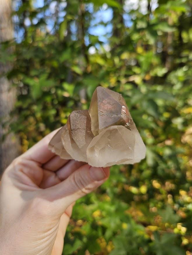 Natural Smoky Quartz Cluster: Bahia, Brazil Crystal - Grounding Crystals - Image 8