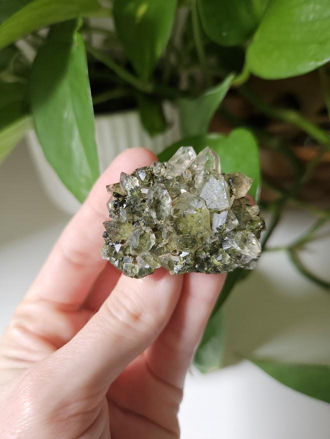5 Small Forest Quartz Clusters: Turkish Epidote and Clear Quartz Crystal - Image 4