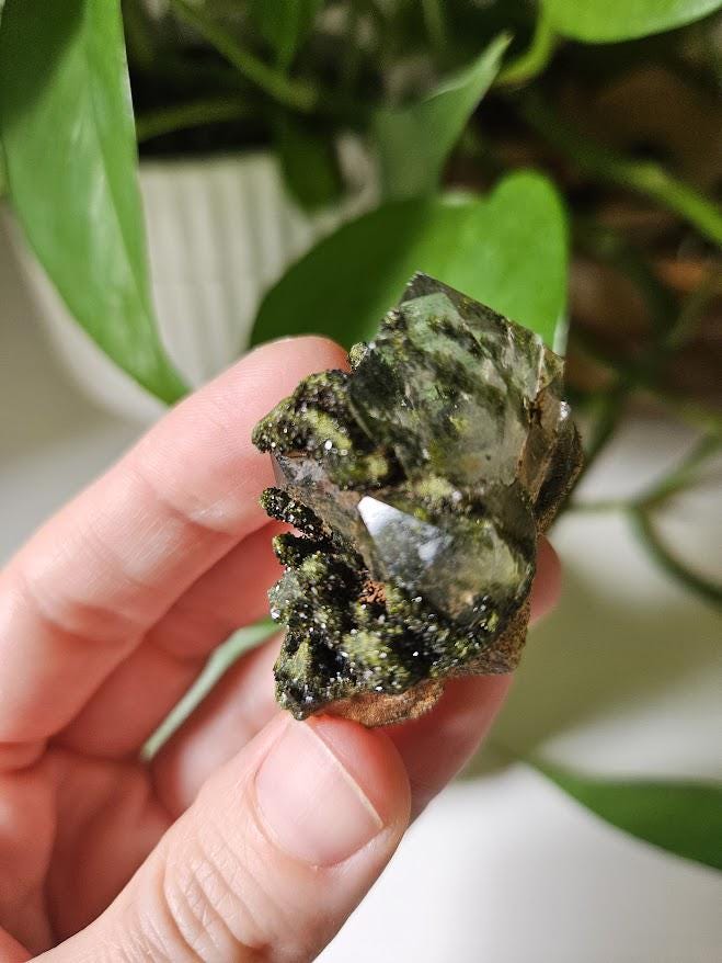 5 Small Forest Quartz Clusters: Turkish Epidote and Clear Quartz Crystal - Image 7