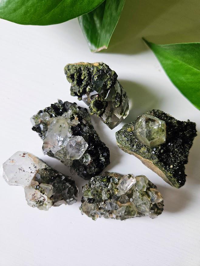 5 Small Forest Quartz Clusters: Turkish Epidote and Clear Quartz Crystal