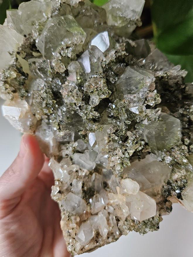 XL Forest Quartz Cluster: Quality Turkish Epidote and Quartz Crystal - Image 8