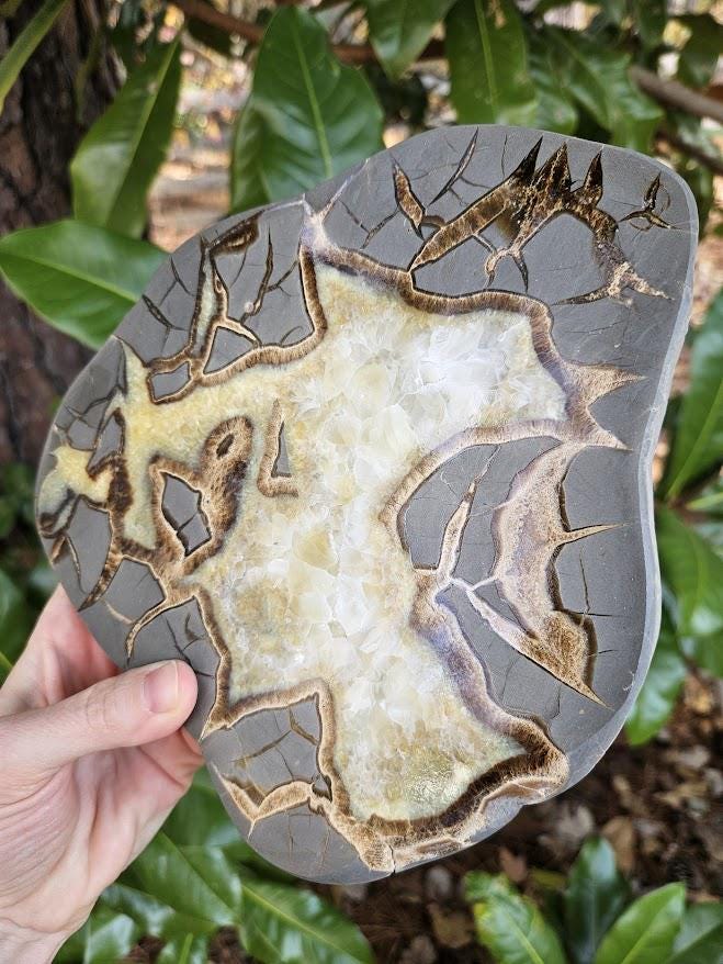 Quality Septarian Slab: Polished Dragon Stone - Natural Home Decor - Image 7