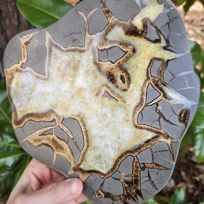 Quality Septarian Slab: Polished Dragon Stone - Natural Home Decor