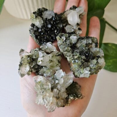5 Small Forest Quartz Crystals: Turkish Epidote Clusters