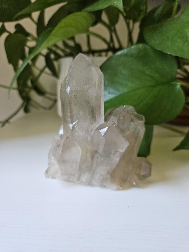 Natural Smoky Quartz Cluster: Bahia, Brazil Crystal - Root Chakra - Image 5