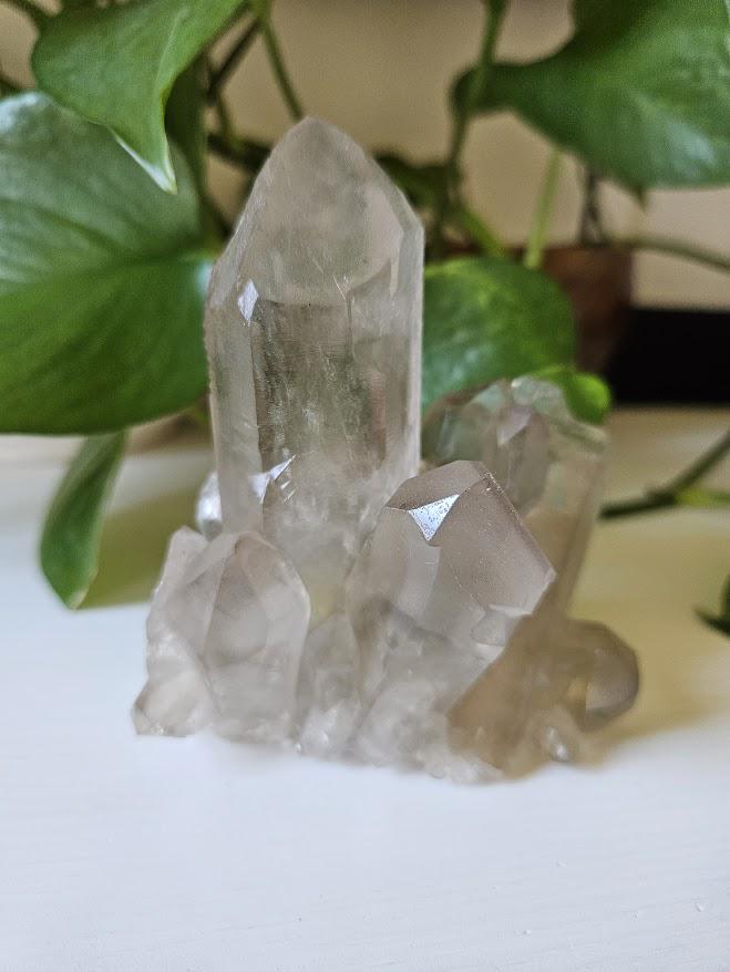 Natural Smoky Quartz Cluster: Bahia, Brazil Crystal - Root Chakra - Image 3