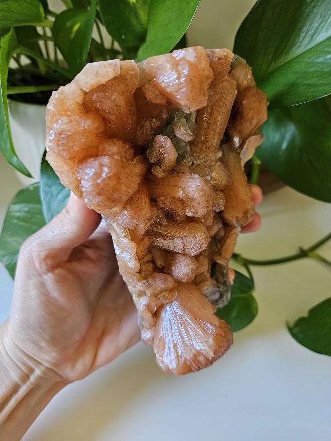 Extra Quality Orange Stilbite and Blue Chalcedony Cluster: Indian Crystals - Image 4