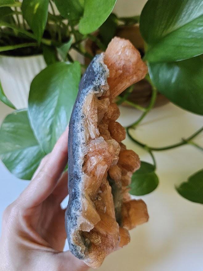 Extra Quality Orange Stilbite and Blue Chalcedony Cluster: Indian Crystals - Image 6