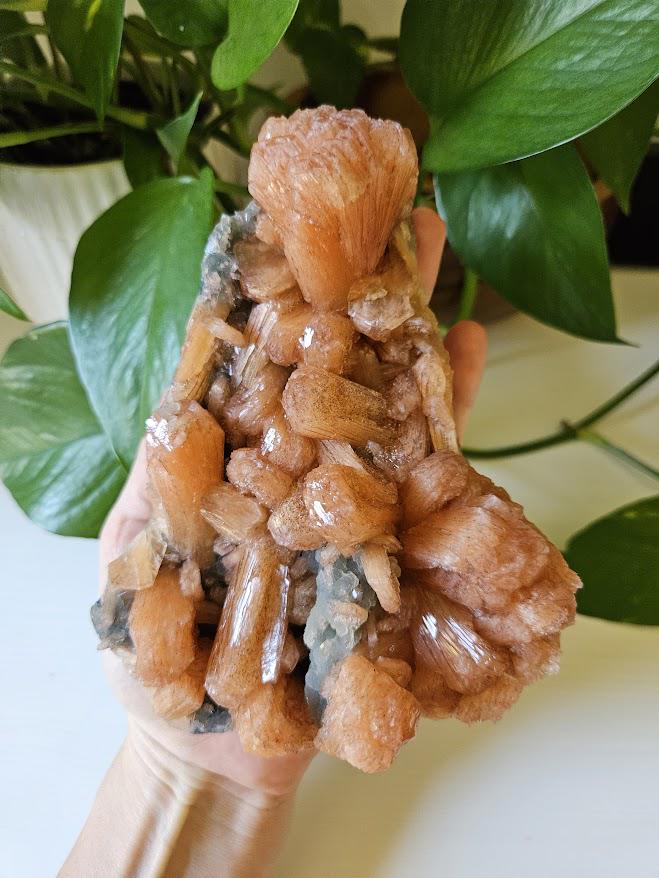 Extra Quality Orange Stilbite and Blue Chalcedony Cluster: Indian Crystals - Image 2