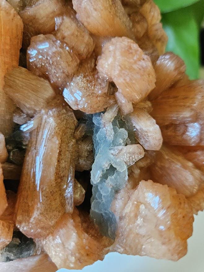 Extra Quality Orange Stilbite and Blue Chalcedony Cluster: Indian Crystals - Image 8