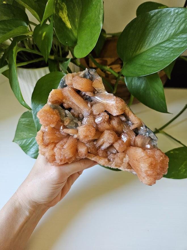 Extra Quality Orange Stilbite and Blue Chalcedony Cluster: Indian Crystals - Image 5