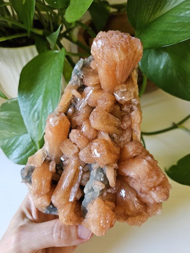 Extra Quality Orange Stilbite and Blue Chalcedony Cluster: Indian Crystals - Image 3