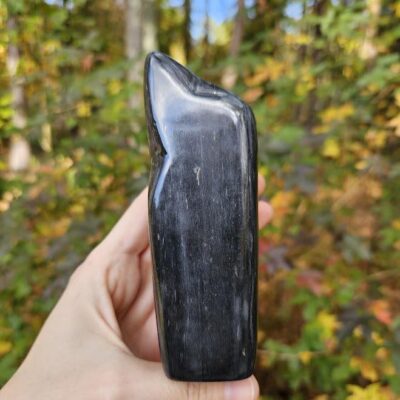 Black Jade and Pyrite Freeform: Polished Jade Stone, Afghanistan