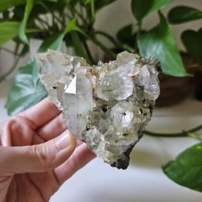 Raw Forest Quartz Cluster: Turkish Epidote and Quartz Crystal