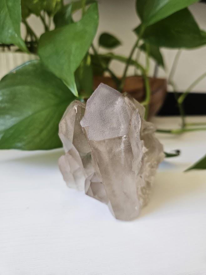 Natural Smoky Quartz Cluster: Bahia, Brazil Crystal - Image 9