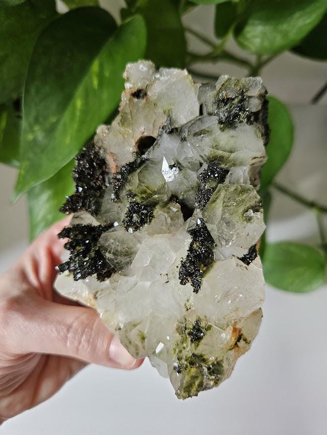 Quality Forest Quartz Cluster: Turkish Epidote and Quartz Crystal - Image 4