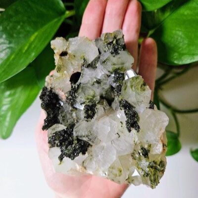 Quality Forest Quartz Cluster: Turkish Epidote and Quartz Crystal