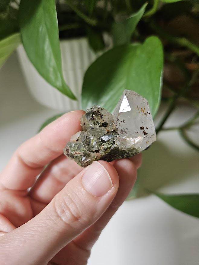 5 Small Forest Quartz Clusters: Turkish Epidote and Clear Quartz Crystal - Image 9
