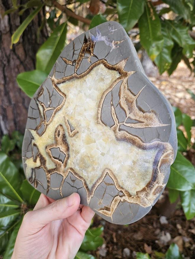 Quality Septarian Slab: Polished Dragon Stone - Natural Home Decor - Image 5