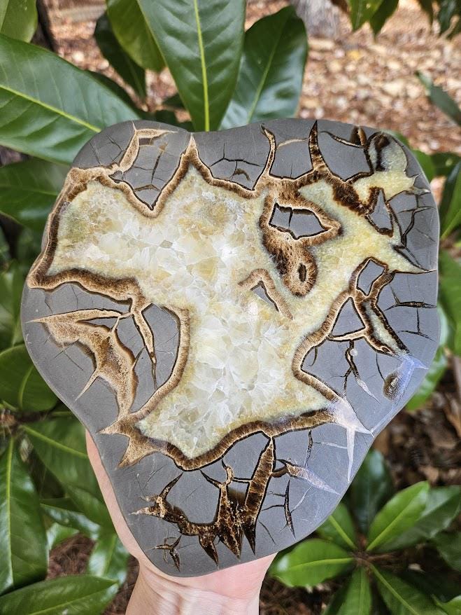 Quality Septarian Slab: Polished Dragon Stone - Natural Home Decor - Image 9