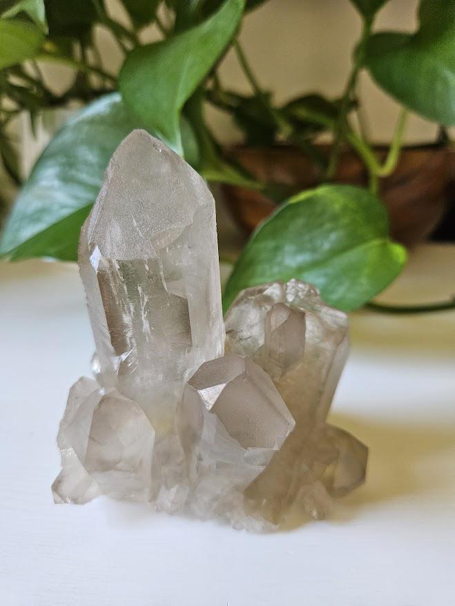 Natural Smoky Quartz Cluster: Bahia, Brazil Crystal - Root Chakra - Image 4