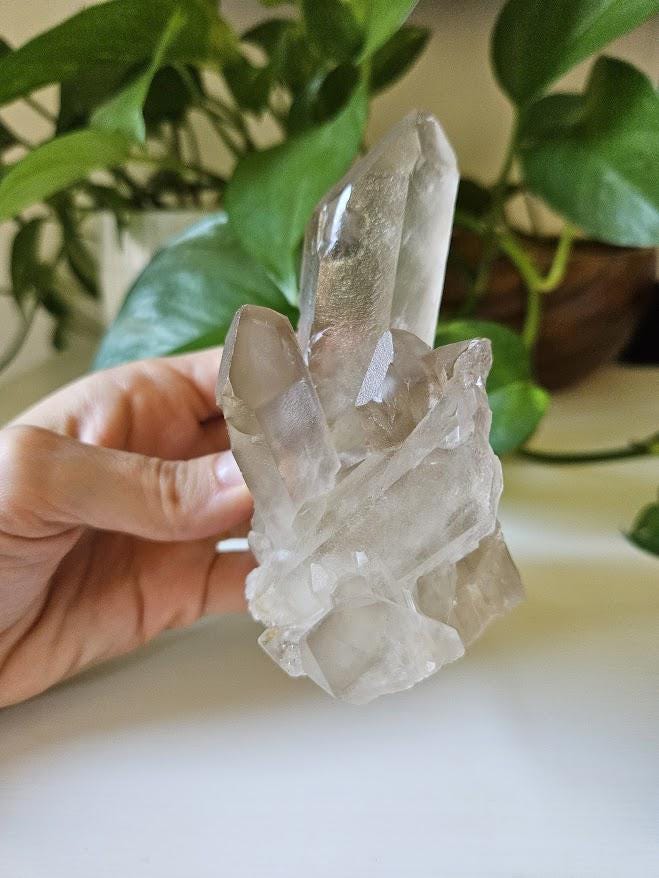Natural Smoky Quartz Cluster: Bahia, Brazil Crystal - Root Chakra - Image 9