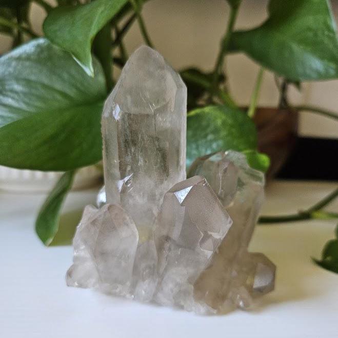 Natural Smoky Quartz Cluster: Bahia, Brazil Crystal - Root Chakra