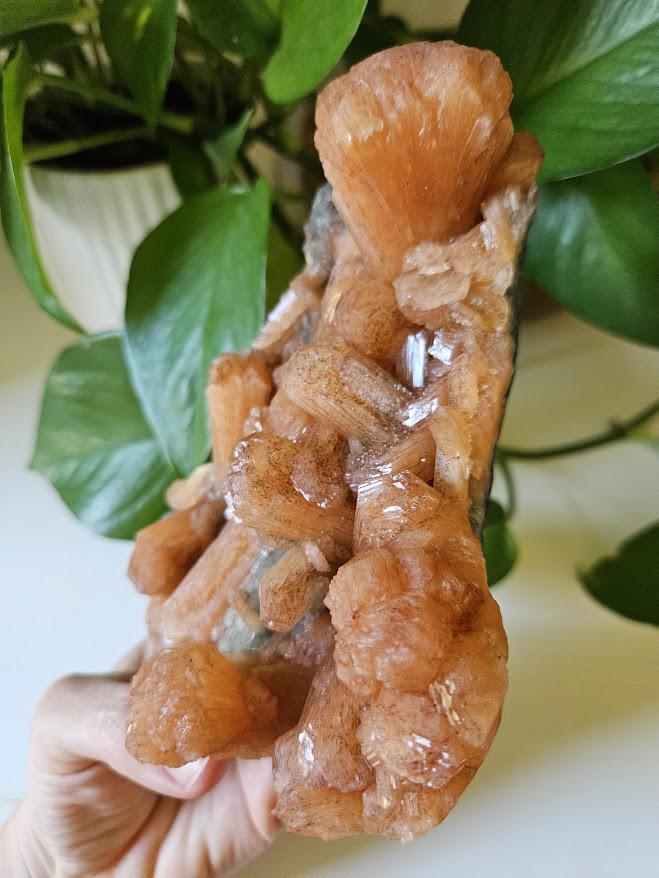 Extra Quality Orange Stilbite and Blue Chalcedony Cluster: Indian Crystals - Image 10