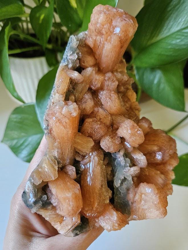 Extra Quality Orange Stilbite and Blue Chalcedony Cluster: Indian Crystals - Image 7