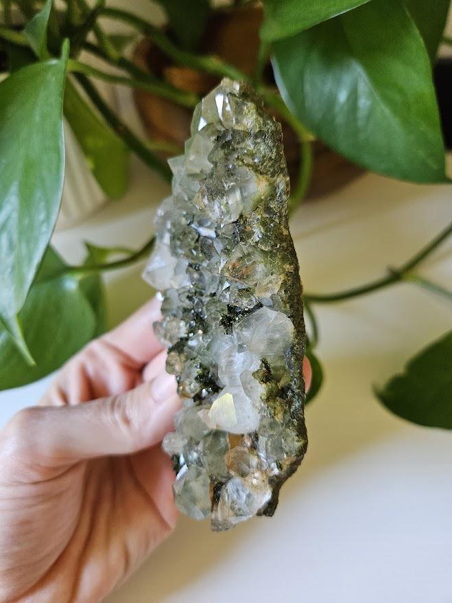 Raw Forest Quartz Cluster: Turkish Epidote and Quartz Crystal - Image 9