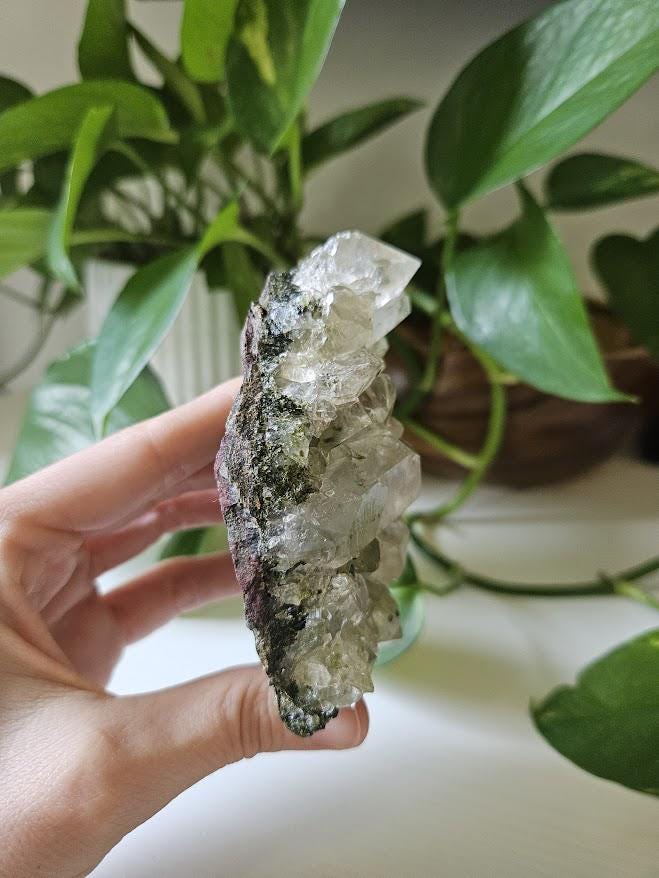 Raw Forest Quartz Cluster: Turkish Epidote and Quartz Crystal - Image 6