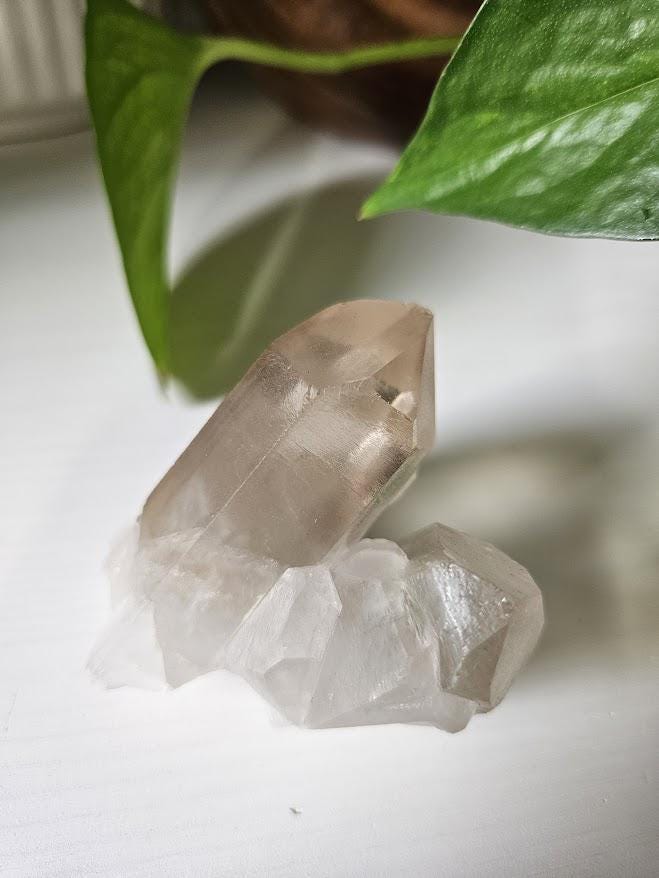 Natural Smoky Quartz Cluster: Bahia, Brazil Crystal - Image 10