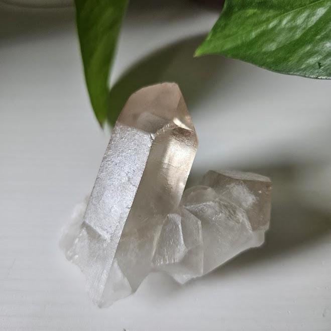 Natural Smoky Quartz Cluster: Bahia, Brazil Crystal