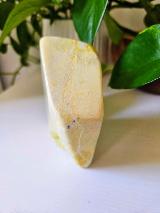 Serpentine Freeform: Polished Stones, Natural Home Decor - Image 4