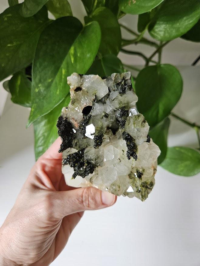 Quality Forest Quartz Cluster: Turkish Epidote and Quartz Crystal - Image 5