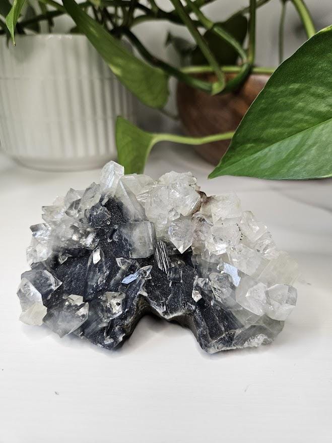 Diamond Apophyllite Cluster on Blue Chalcedony: Natural Crystal Home Decor - Image 4