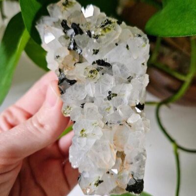 Quality Forest Quartz Cluster: Turkish Epidote and Clear Quartz Crystal, Raw Crystals