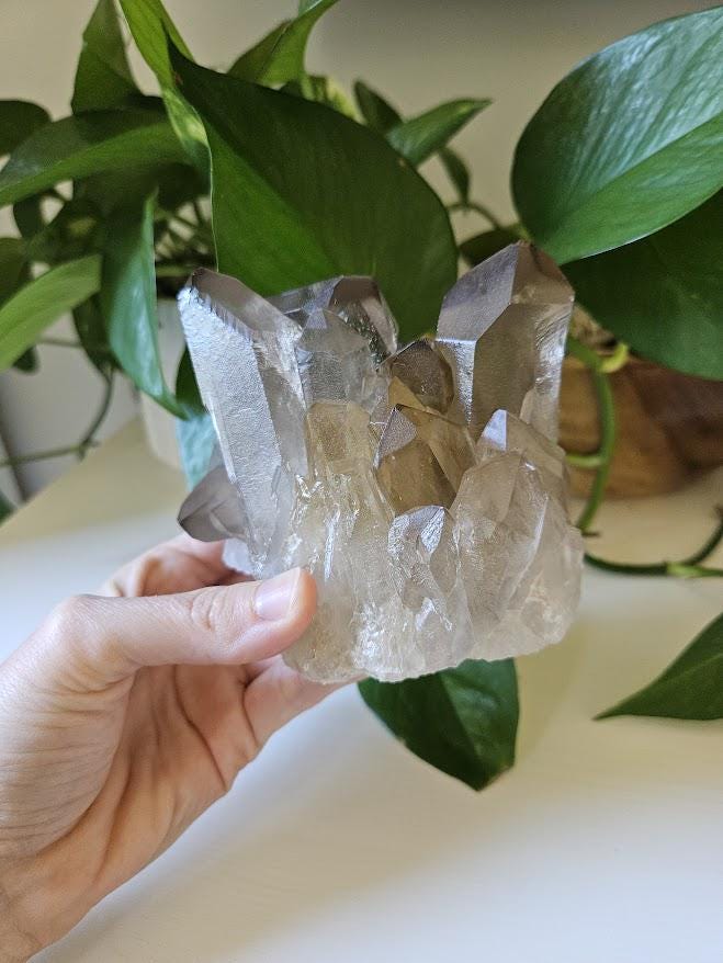 Large Smoky Quartz Cluster: Natural Brazilian Crystals - Bahia - Image 3