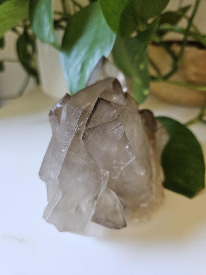 Large Smoky Quartz Cluster: Natural Brazilian Crystals - Bahia - Image 5