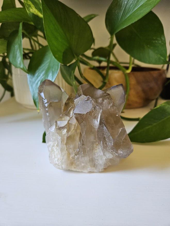 Large Smoky Quartz Cluster: Natural Brazilian Crystals - Bahia - Image 9